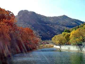 新澳天天开奖资料大全旅游团，虎牙价格